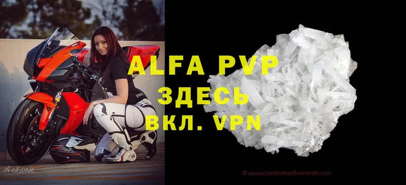 Alfa_PVP СК КРИС Гаджиево