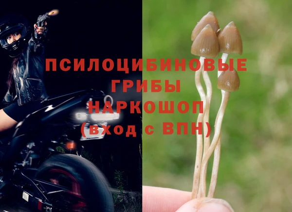 mdpv Володарск